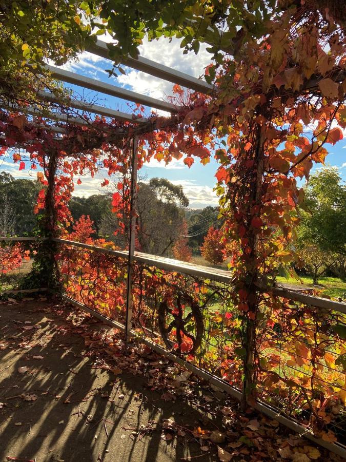 Bendalong - Rural Retreat, Short Drive To Cbd Villa Orange Exteriör bild